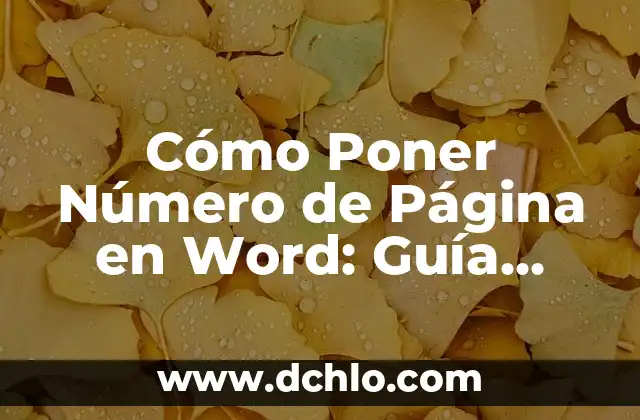 ¿Qué Poner para que no se Meen los Perros en el Jardín?: Soluciones Efectivas 4 Cómo Poner Número de Página en Word: Guía Definitiva