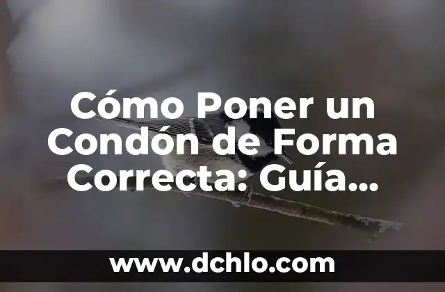 ¿Qué Poner Al Sofá Para Que No Se Hundas? Soluciones Prácticas y Efectivas 8 Cómo Poner un Condón de Forma Correcta: Guía Completa