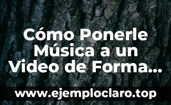 Cómo Ponerle Música a un Video de Forma Profesional