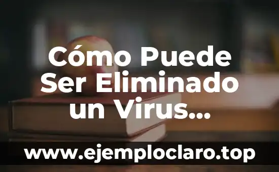 Nombres de Bebés con Significado: Una Guía Esencial 3 Cómo Puede Ser Eliminado un Virus Informático – Guía Completa