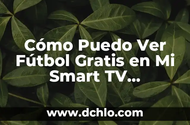 ¿Puedo Ir Sin Camiseta por la Calle? Reglas y Precauciones 8 Cómo Puedo Ver Fútbol Gratis en Mi Smart TV Samsung: GuíaCompleta