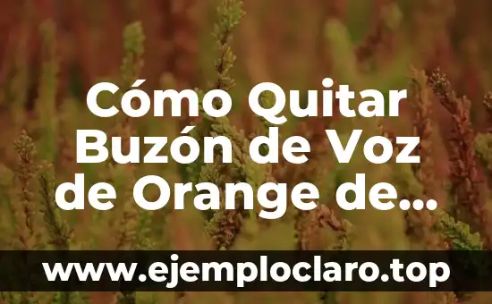 Entonación: El Arte del Ritmo en la Voz 6 Cómo Quitar Buzón de Voz de Orange de Forma Permanente
