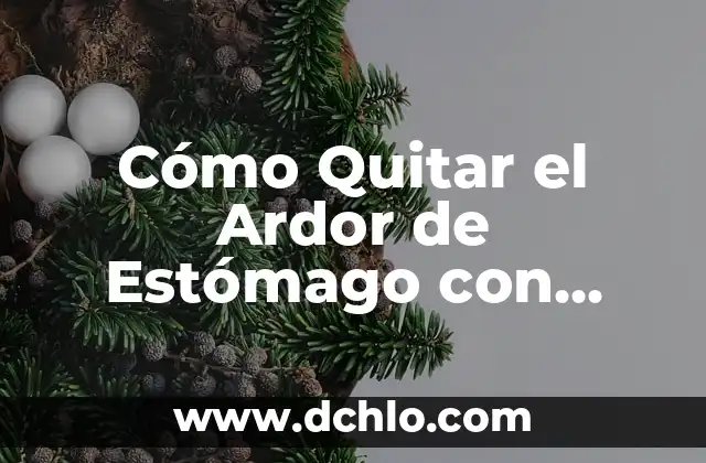 Dolores de Estómago en el Embarazo: Causas y Remedios Naturales 4 Cómo Quitar el Ardor de Estómago con Remedios Caseros