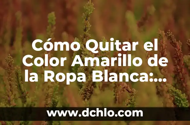 Cómo Quitar Manchas de Pegamento en Ropa: Soluciones Fáciles y Efectivas 5 Cómo Quitar el Color Amarillo de la Ropa Blanca: Guía Completa