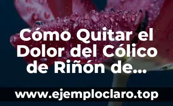 Cómo hacer un cuadro de historia natural de una enfermedad 8 Cómo Quitar el Dolor del Cólico de Riñón de Forma Natural y Eficiente