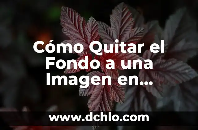 Significado y Significante de una Imagen 5 Cómo Quitar el Fondo a una Imagen en Photoshop y Otros Programas