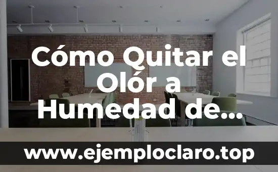 Humedad Atmosférica: Un Concepto Clave en Meteorología 7 Cómo Quitar el Olór a Humedad de las Toallas: Guía Completa