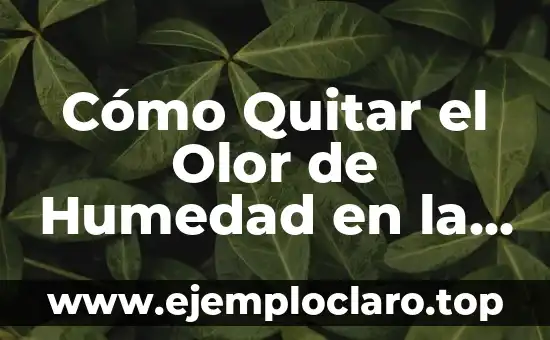 Humedad Atmosférica: Un Concepto Clave en Meteorología 3 Cómo Quitar el Olor de Humedad en la Ropa sin Lavadla