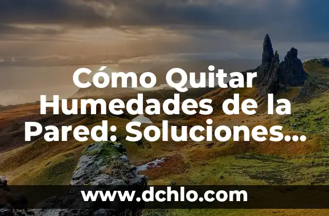 ¿Cómo Saber si es Oro en la Pared? Guía Detallada para Identificar el Oro Auténtico 3 Cómo Quitar Humedades de la Pared: Soluciones Efectivas y Permanentes