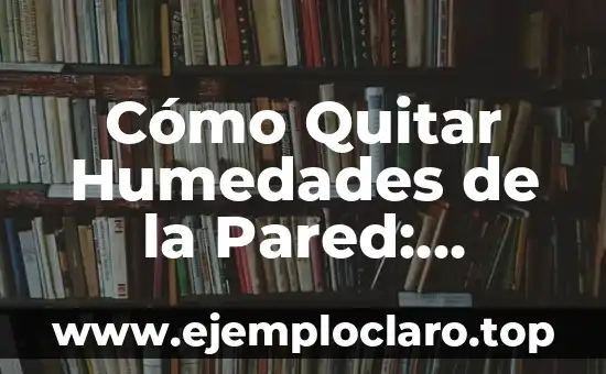 Cómo Quitar Humedades de la Pared: Soluciones Efectivas y Permanentes