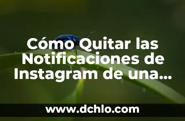 Cómo Quitar Dinero en los Sims 4: Guía Completa y Actualizada 3 Cómo Quitar las Notificaciones de Instagram de una Vez por Todas