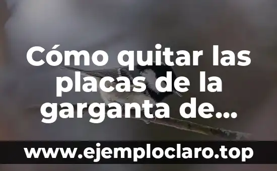Tosca forma de ser significado 8 Cómo quitar las placas de la garganta de forma natural y efectiva