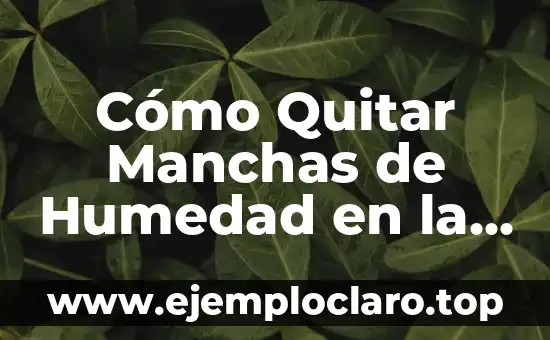 Humedad Atmosférica: Un Concepto Clave en Meteorología 5 Cómo Quitar Manchas de Humedad en la Pared: Guía Completa