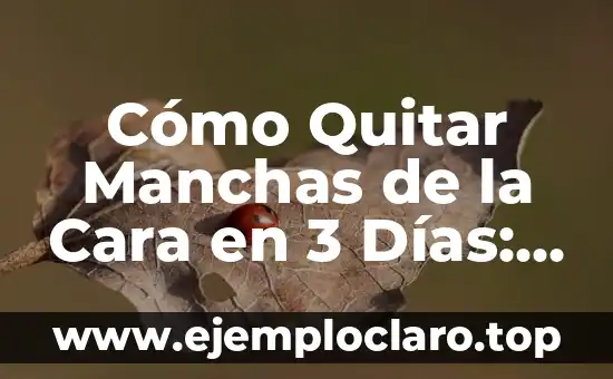 Cómo Quitar Manchas de la Plancha: Guía Definitiva 8 Cómo Quitar Manchas de la Cara en 3 Días: Soluciones Efectivas