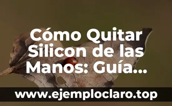 Nombre de Niño con Significado Musical: Una Guía Completa 8 Cómo Quitar Silicon de las Manos: Guía Completa y Segura