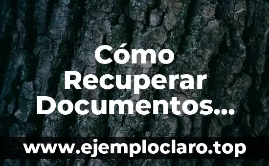 Cómo Recuperar Documentos No Guardados en Word: Guía Completa