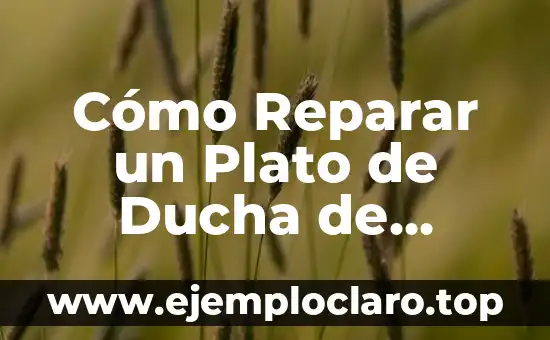 Cómo Reparar un Plato de Ducha de Resina: Guía Detallada y Paso a Paso