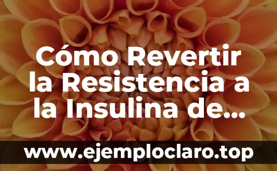 ¿Qué significa ser resistente a la insulina? 8 Cómo Revertir la Resistencia a la Insulina de Forma Natural y Eficiente