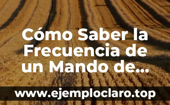 Cómo Hacer una Firma Electrónica en PDF: Guía Detallada 7 Cómo Saber la Frecuencia de un Mando de Garaje: Guía Completa