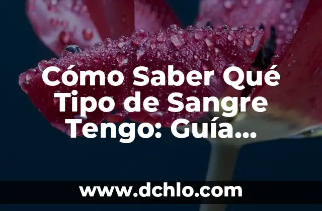 ¿Qué tipo de palabra es como? Análisis lingüístico y semántico 4 Cómo Saber Qué Tipo de Sangre Tengo: Guía Completas y Fácil