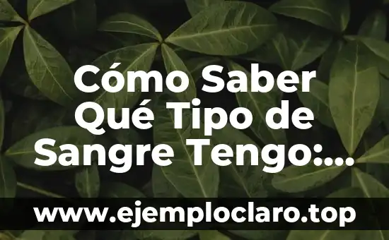 Cómo Saber Qué Tipo de Sangre Tengo: Guía Completas y Fácil