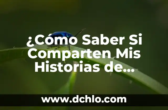 Mudra de la Sabiduría Significado - Guía Completa 5 ¿Cómo Saber Si Comparten Mis Historias de Instagram? Guía Completa