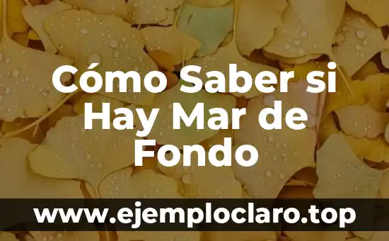Cómo Saber si Hay Mar de Fondo