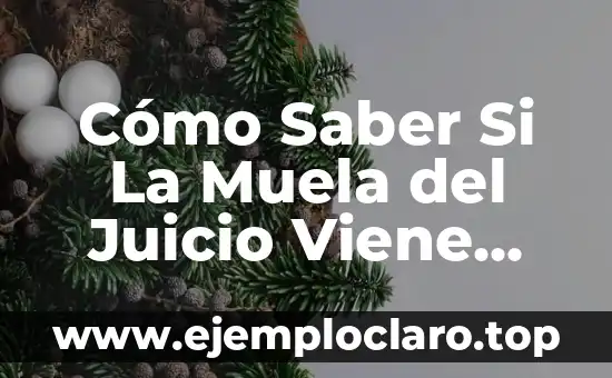 Cómo Saber Si La Muela del Juicio Viene Bien - Guía Completa