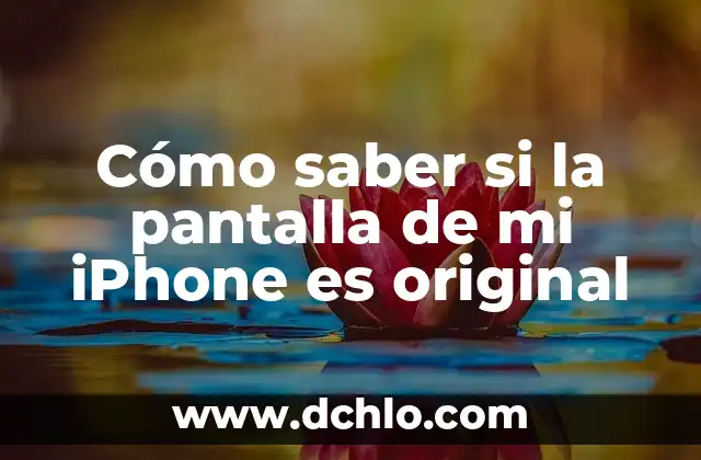 Cómo Hacer una Carta a los Reyes Magos: Guía Completa y Original 5 Cómo saber si la pantalla de mi iPhone es original