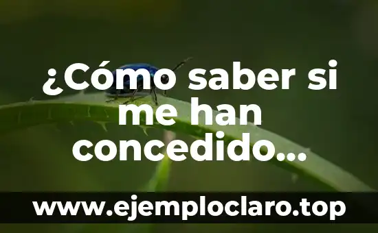 ¿Cómo saber si me han concedido ayuda de 200 euros?