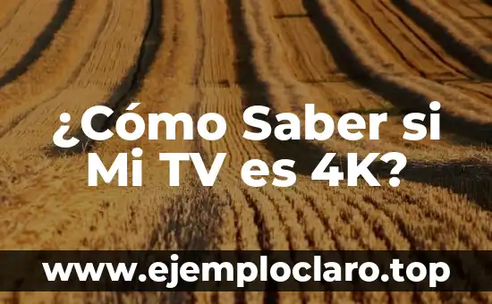 Ya Encontré la que Será mi Futura Esposa: ¿Qué Sigue? 3 ¿Cómo Saber si Mi TV es 4K?