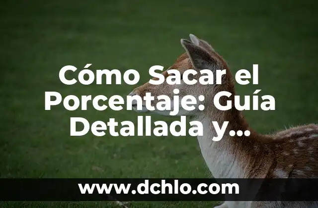 Cómo calcular el porcentaje entre dos valores en Excel con la fórmula adecuada 8 Cómo Sacar el Porcentaje: Guía Detallada y Práctica