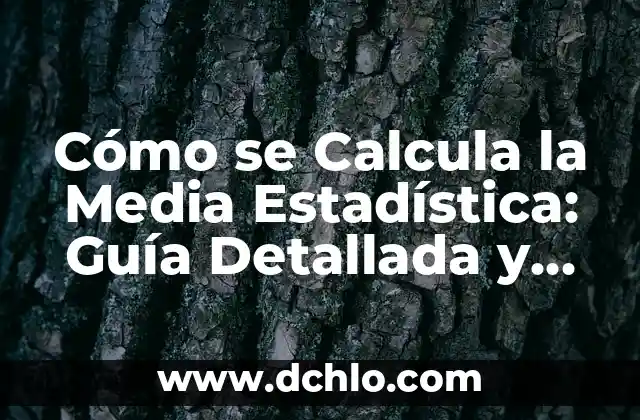 Escolástica: El Movimiento Intelectual que Definió la Edad Media 7 Cómo se Calcula la Media Estadística: Guía Detallada y Completa