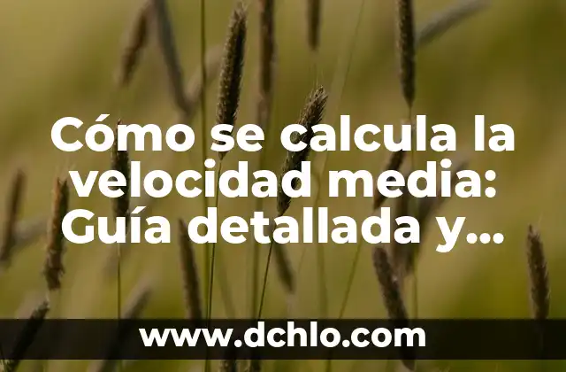 Escolástica: El Movimiento Intelectual que Definió la Edad Media 3 Cómo se calcula la velocidad media: Guía detallada y completa