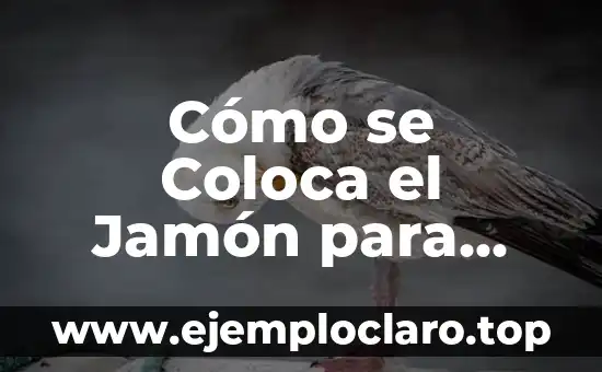 Cómo se Coloca el Jamón para Empezar a Cortarlo – Guía Completa