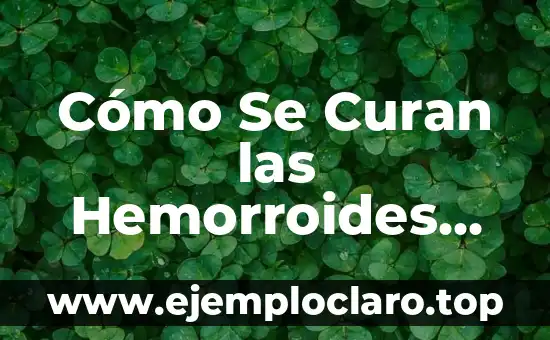 Extensión de Forma y Significado: Un Viaje a la Expansión Conceptual 8 Cómo Se Curan las Hemorroides Externas de Forma Natural y Efectiva