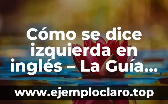 Cómo se dice izquierda en inglés – La Guía Definitiva