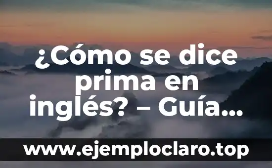 ¿Cómo se dice prima en inglés? – Guía completa para aprender vocabulario