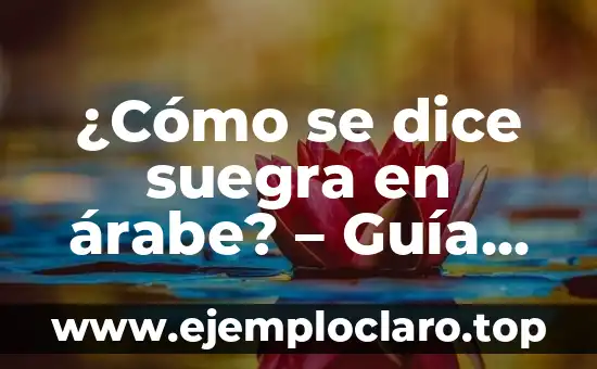 ¿Cómo se dice suegra en árabe? – Guía completa