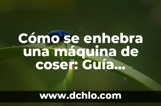 Mejora de una Máquina Significado 8 Cómo se enhebra una máquina de coser: Guía completa para principiantes y expertos