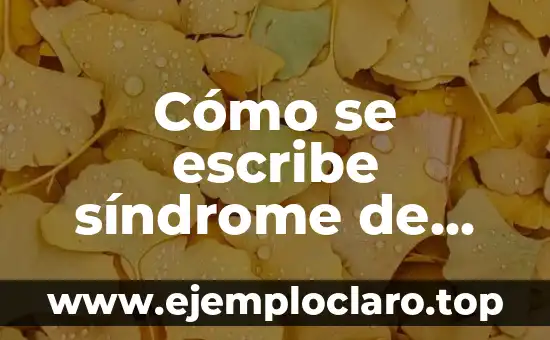 Cómo se escribe síndrome de Down: Guía completa y detallada