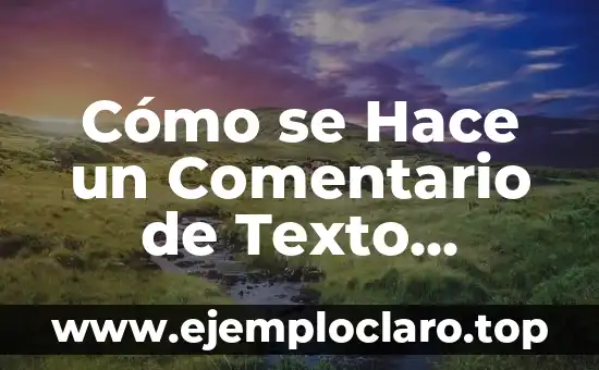Cómo se Hace un Comentario de Texto Correcto y Efectivo