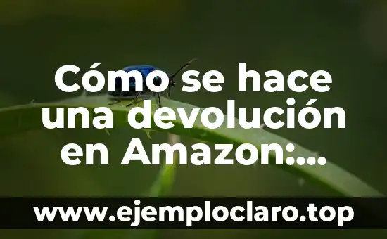 Cómo se hace una devolución en Amazon: Guía paso a paso para obtener un reembolso