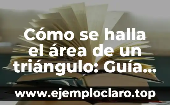 Nombre de Niño con Significado Musical: Una Guía Completa 7 Cómo se halla el área de un triángulo: Guía detallada y completa