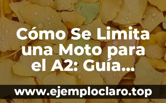 Cómo Hacer una Firma Electrónica en PDF: Guía Detallada 3 Cómo Se Limita una Moto para el A2: Guía Completa y Actualizada