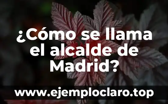 ¿Cómo se llama el alcalde de Madrid?