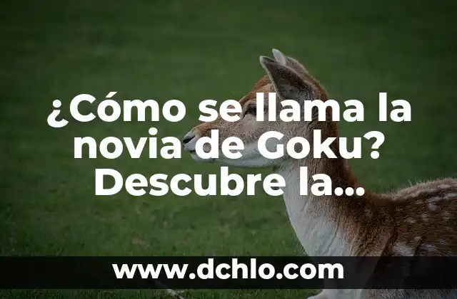 Significado del Logotipo de Goku 3 ¿Cómo se llama la novia de Goku? Descubre la respuesta aquí