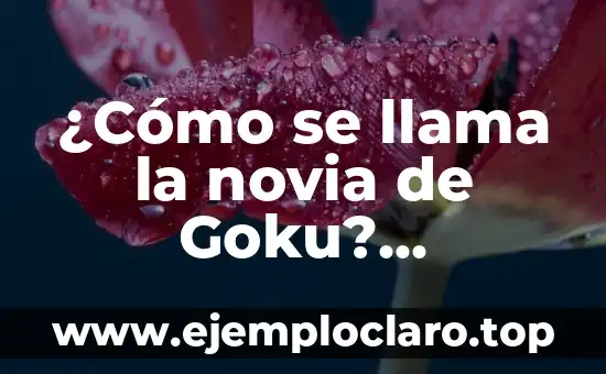 ¿Cómo se llama la novia de Goku? Descubre la respuesta aquí