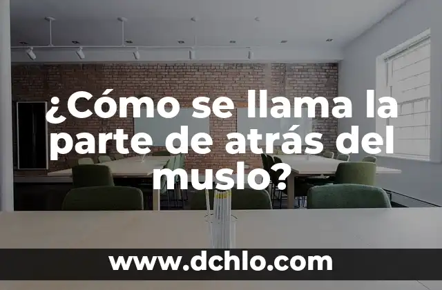 Partes de atrás de la rodilla: Anatomía y función 6 ¿Cómo se llama la parte de atrás del muslo?