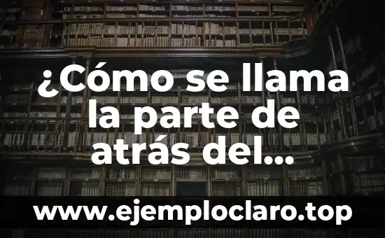 ¿Cómo se llama la parte de atrás del muslo?